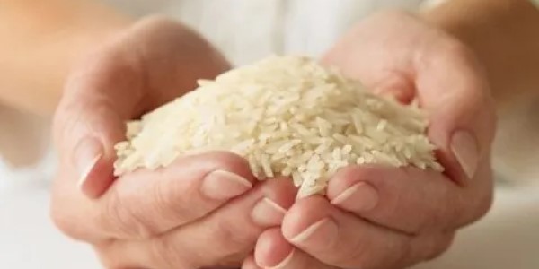 تصویر 4 از قیمت خرید برنج چمپای جنوب + فروش ویژه